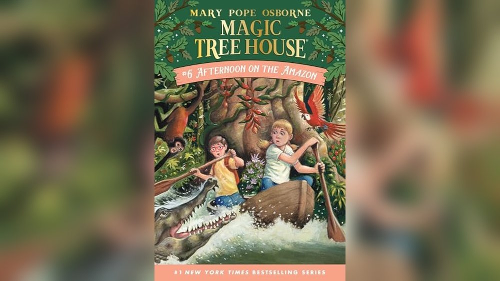 Afternoon on the Amazon