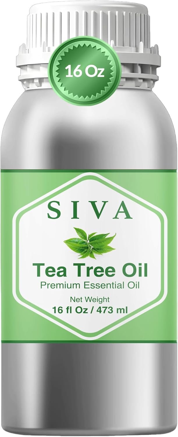 Siva Tea Tree Essential Oil – 16 Fl Oz – 100% Natural Tea Tree Oil – for Diffuser, Face, Skin Care, Aromatherapy, Hair Care, Scalp and Body Massage